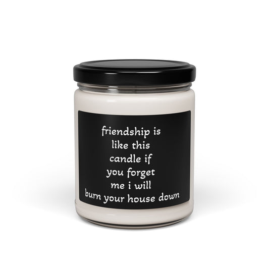 Soy Candle, Funny Friendship Warning Design, 9oz